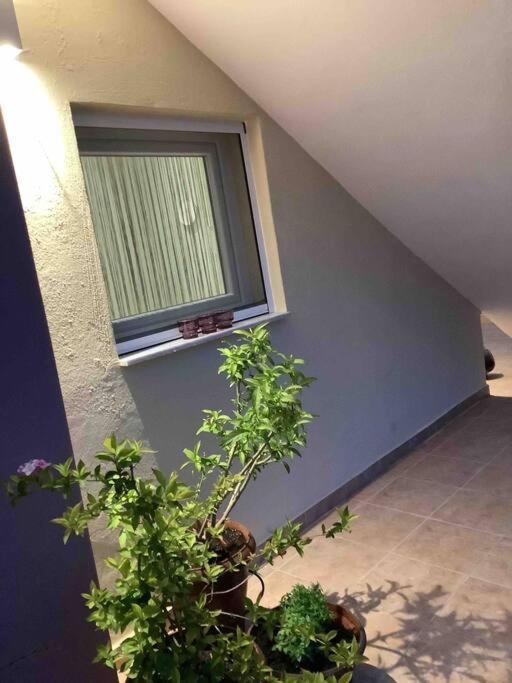 Ng Luxury Apartments At Nea Kallikrateia No 1 エクステリア 写真