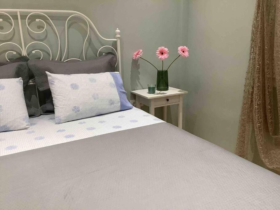 Ng Luxury Apartments At Nea Kallikrateia No 1 エクステリア 写真